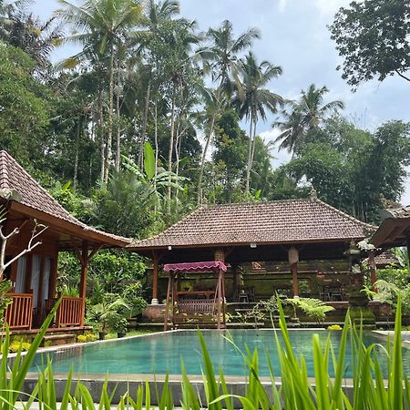 Pondok Manca Undisan Buitenkant foto