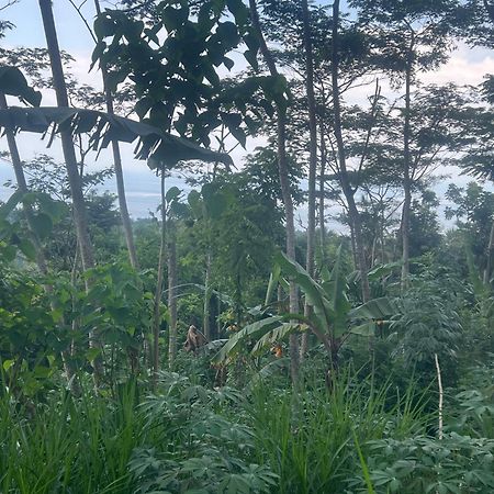 Pondok Manca Undisan Buitenkant foto